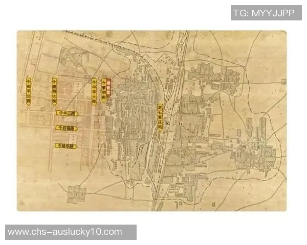 上海与重庆的城市魅力对比探讨两座城市的文化与发展潜力